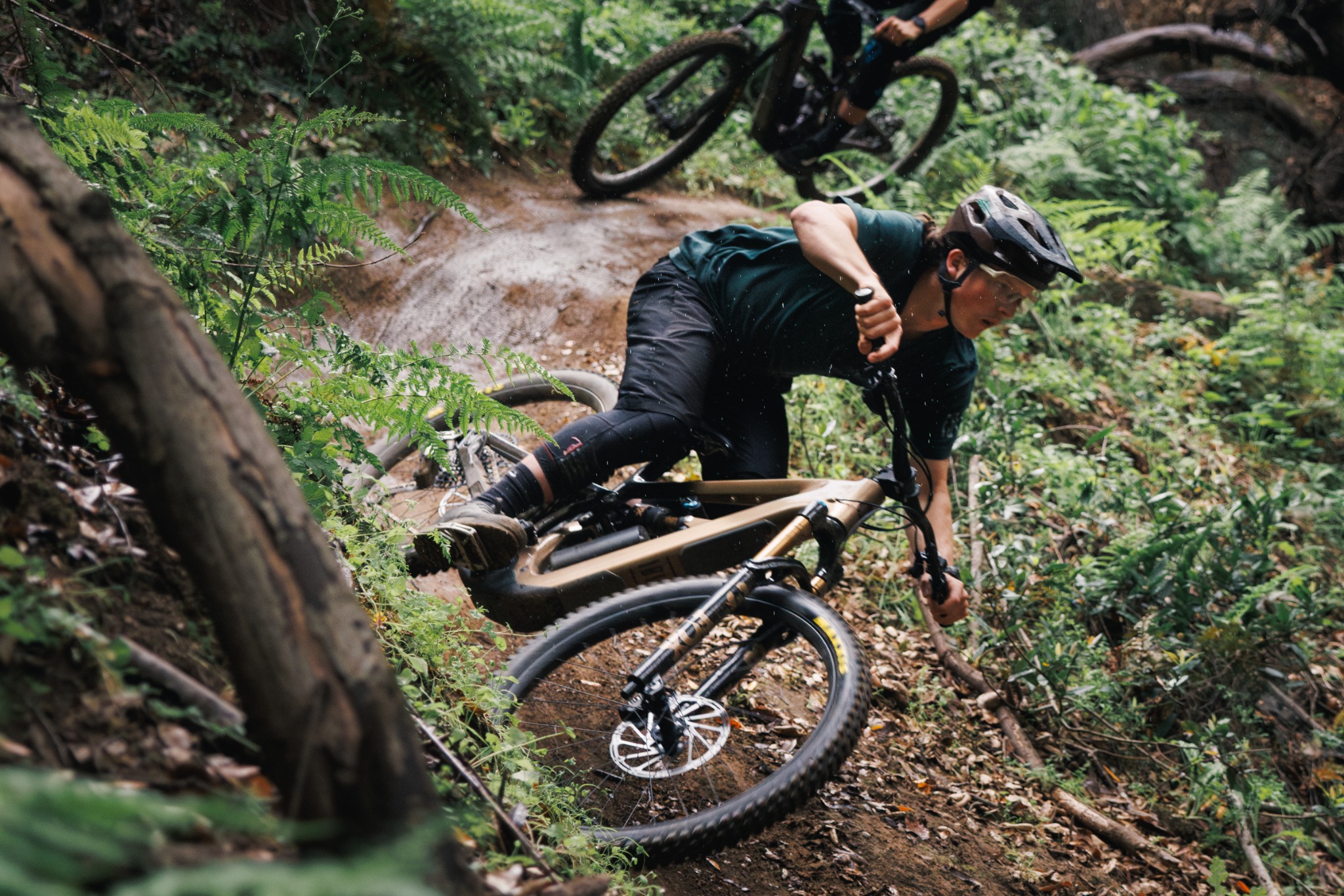 Ibis Cycles na trailu