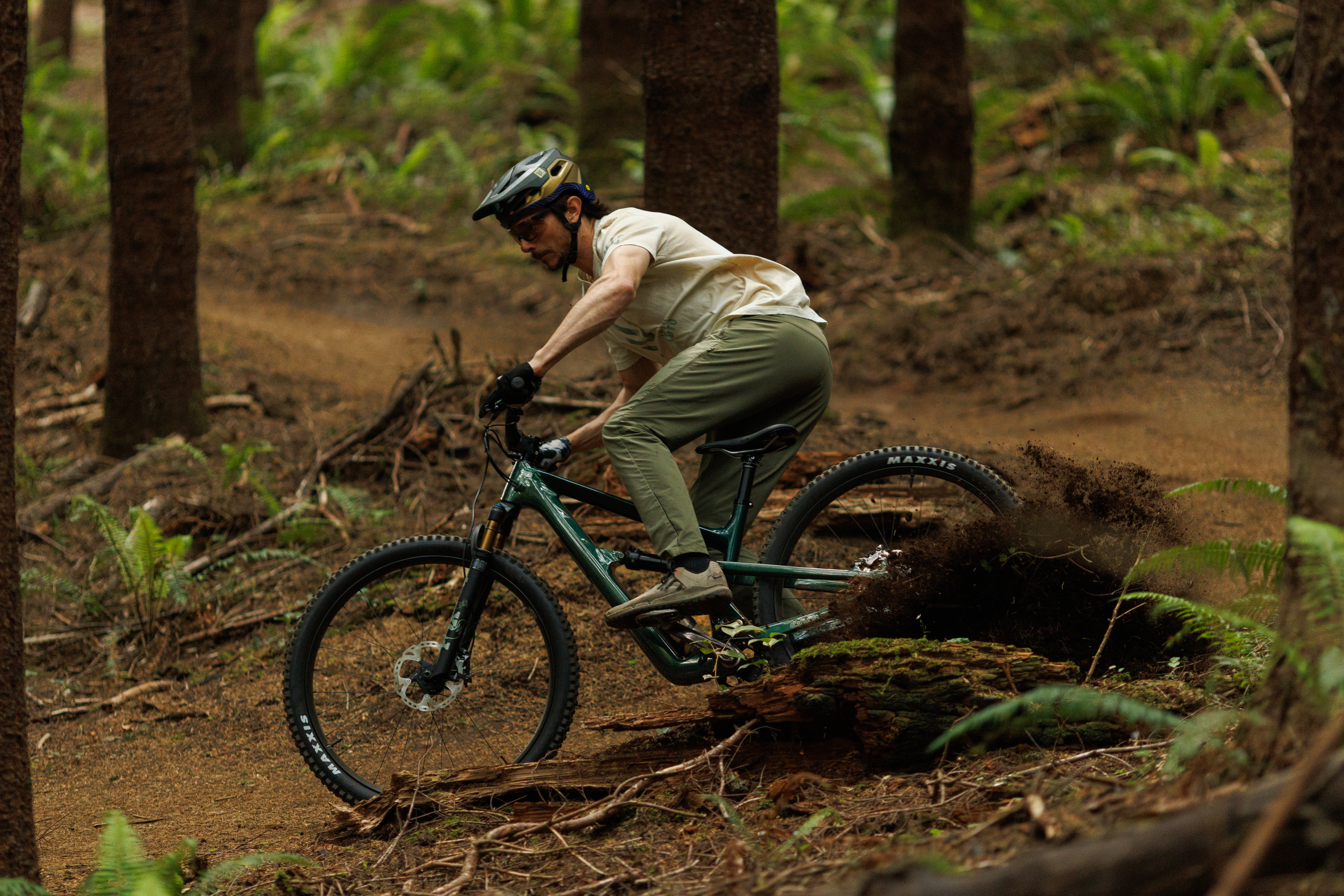 Ibis Ripley V5