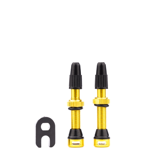 TUNE TUBELESS-VALVE SET GOLD 35MM